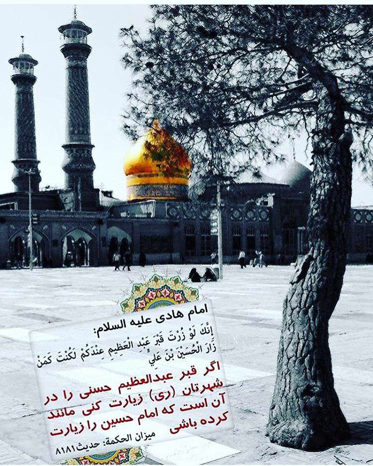 زیارت قبر عبدالعظیم حسنی